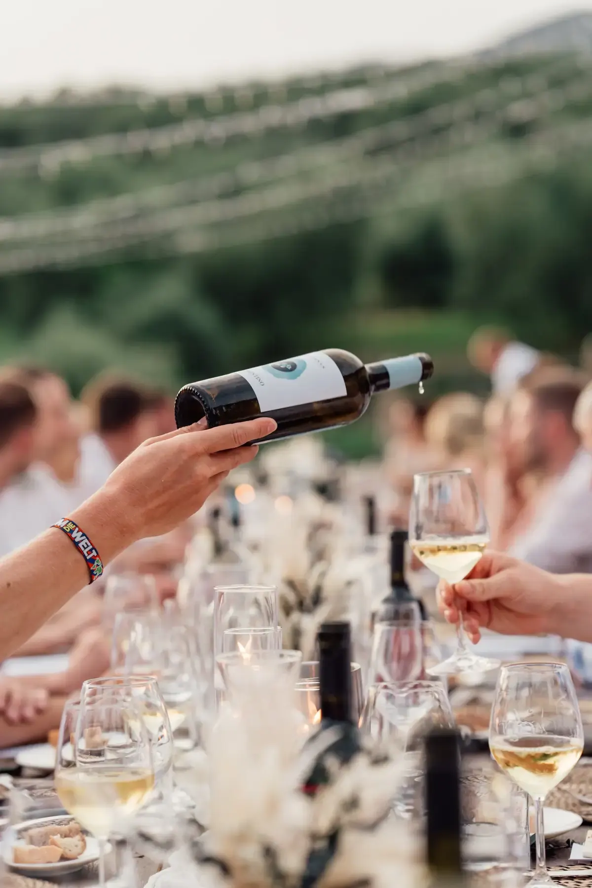 How RentalTide Solved the Wine Tours industry